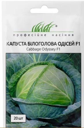 Насіння Капуста Одісей F1 білоголова 20шт