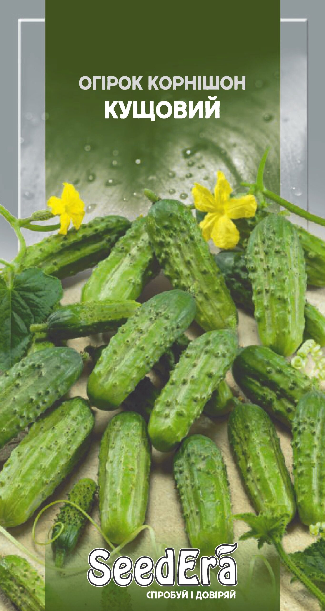 Насіння Огірок КОРНІШОН КУЩОВИЙ Seedera