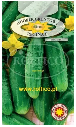 Огірок Регіна 5гр