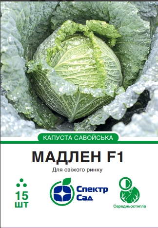 Мадлен F1