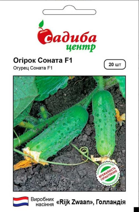 Огірок Соната F1