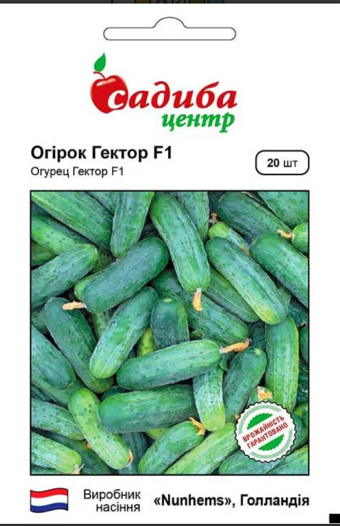 Огірок Гектор F1