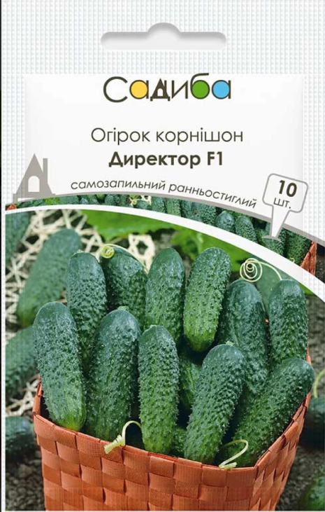 Огірок Директор F1
