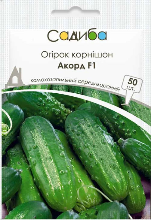 Огірок Акорд F1