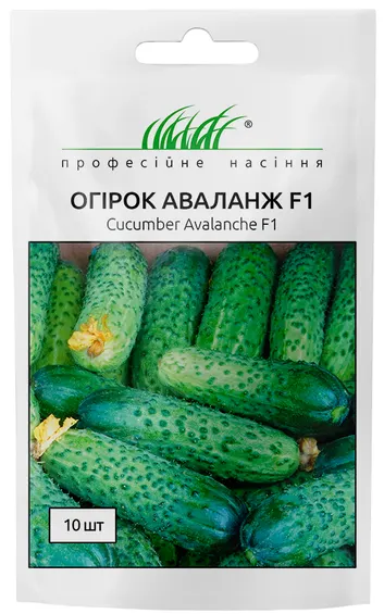 Огірок Аваланж F1 партенокарпічний