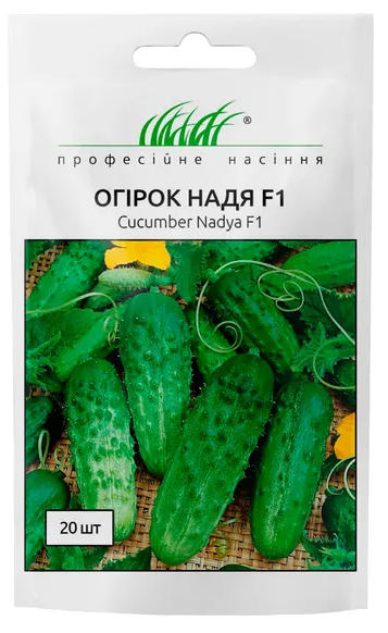 Огірок Надя F1 бджолозапильний