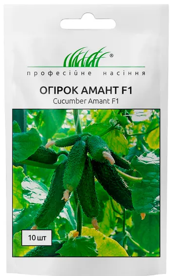 Огірок Амант F1 самозапильний