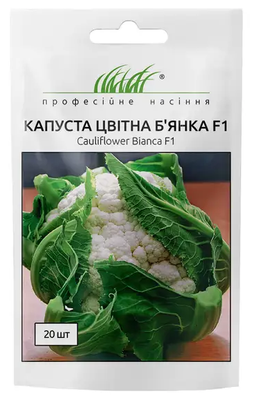 Капуста Б'янка F1 цвітна