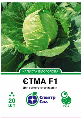 Єтма F1