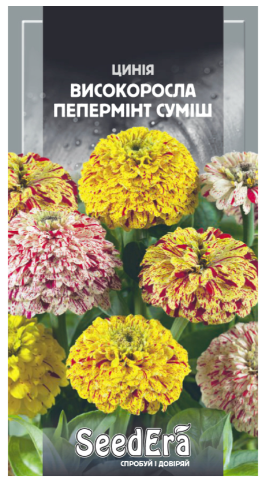Насіння Квіти Цинія високоросла елегантна Пепермінт суміш SeedEra
