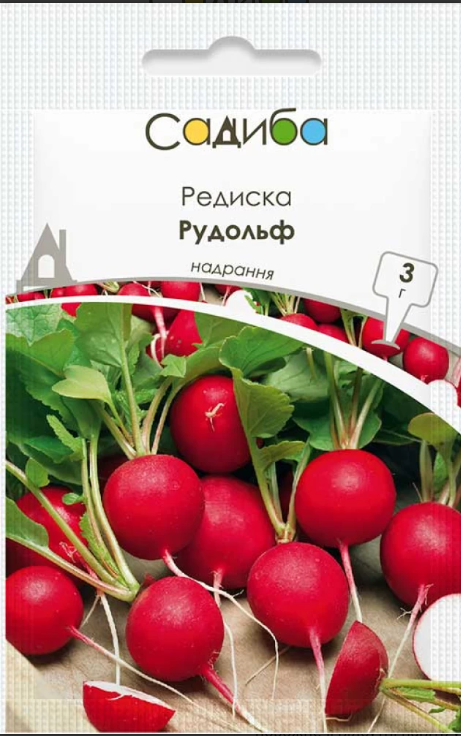 Редиска Рудольф