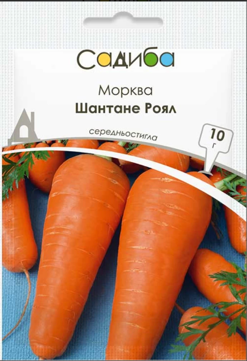 Морква Шантане Роял