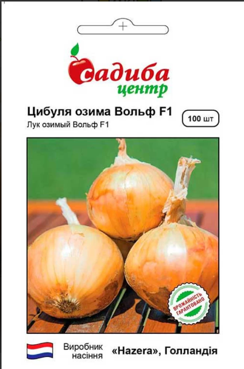 Цибуля озима Вольф F1