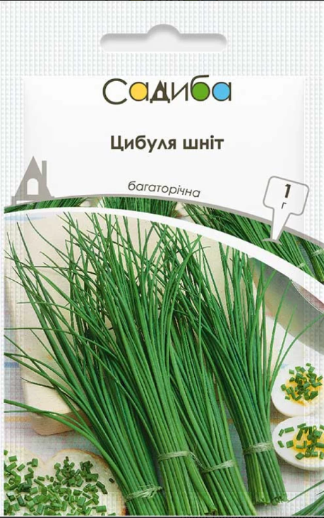 Насіння Цибуля шніт