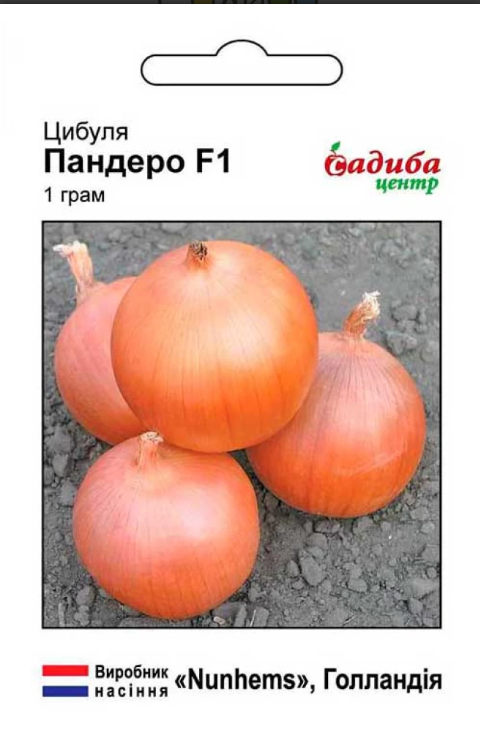 Цибуля Пандеро F1