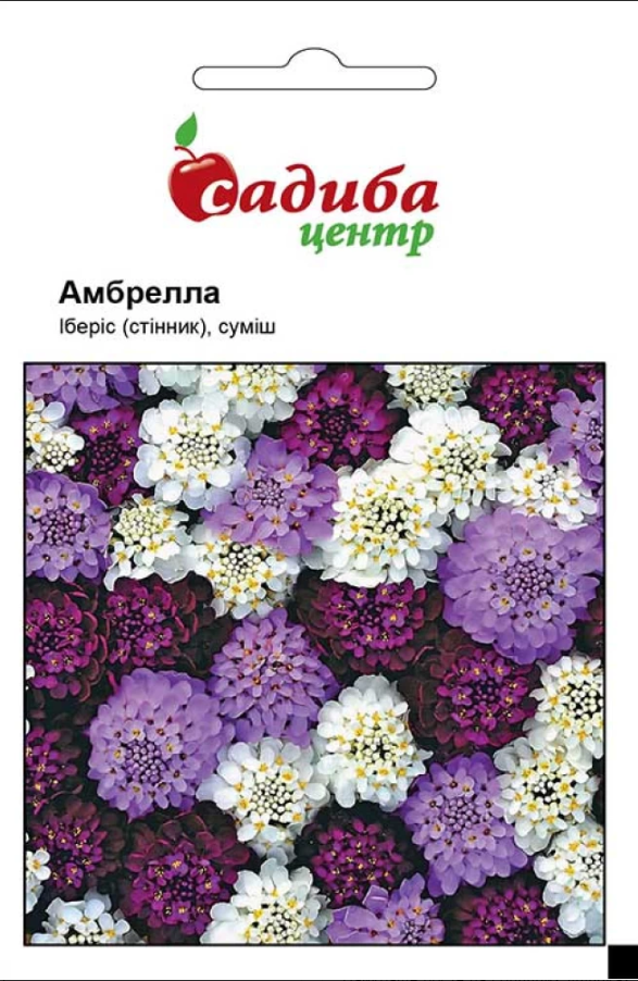 Насіння квітів Іберіс Амбрелла 0