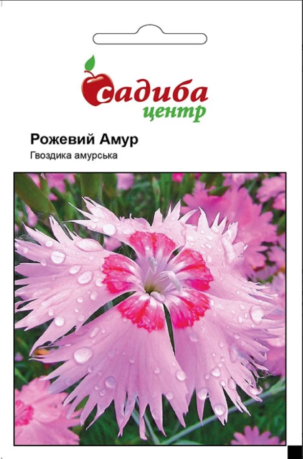 Насіння квітів Гвоздика амурська Рожевий Амур 0