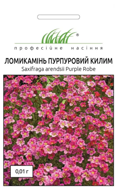 Насіння квітів Ломикамінь Пурпуровий килим 0
