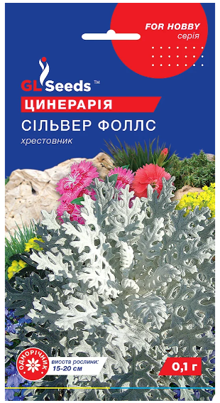 Насіння квітів Цинерарія Сільвер Фолс 0
