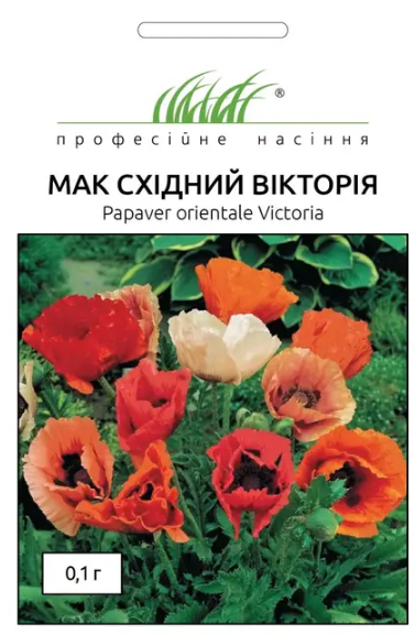 Насіння квітів Мак східний Вікторія 0