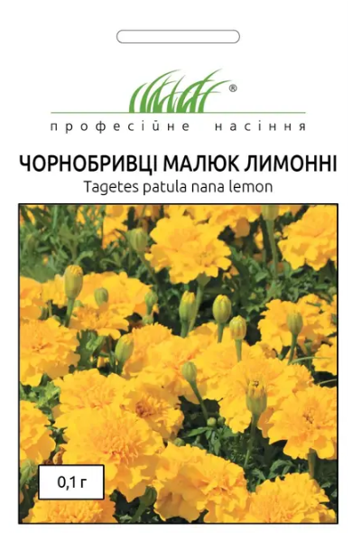 Насіння квітів Чорнобривці розлогі Малюк лимонні 0