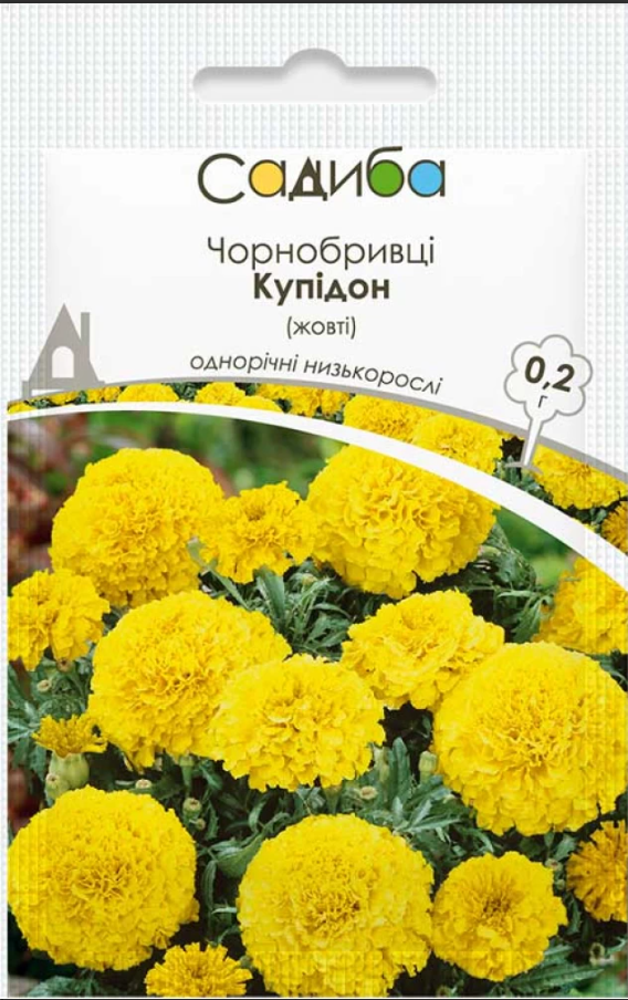 Насіння квітів Чорнобривці Купідон жовті 0