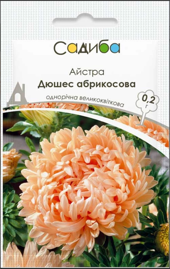 Насіння квітів Айстра Дюшес абрикосова 0