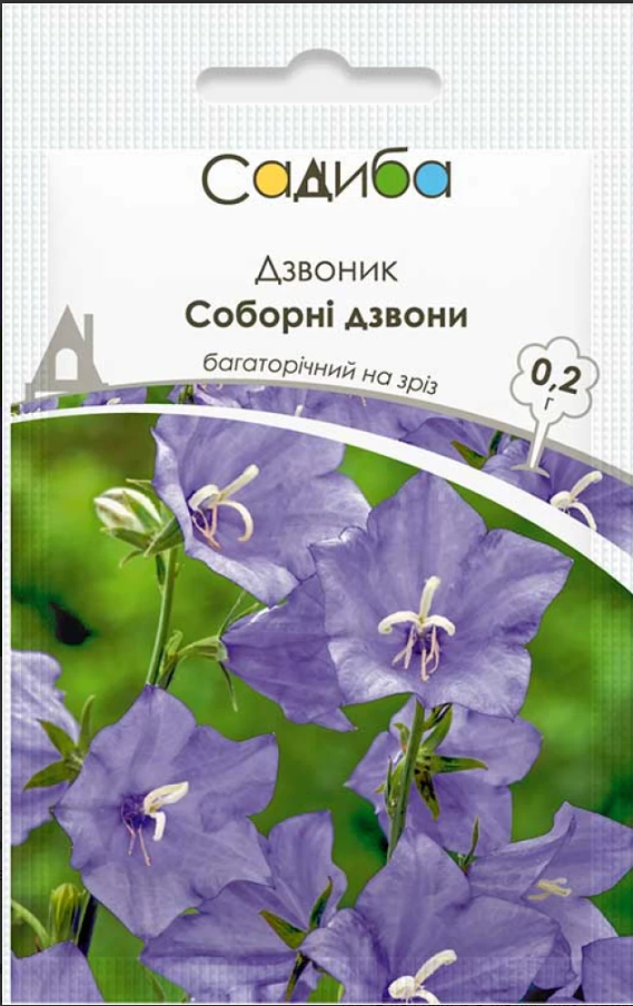 Насіння квітів Дзвоник Соборні дзвони 0