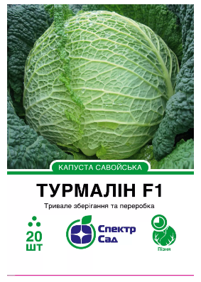 Насіння Савойська капуста Турмалін F1 20шт