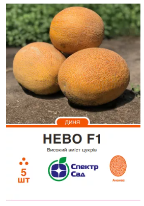 Насіння Диня Нево F1 5шт