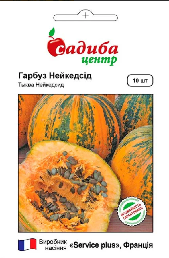 Насіння Гарбуз Нейкедсід 10шт СЦ