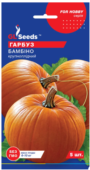 Насіння Гарбуз Бамбіно 5 GLSEEDS
