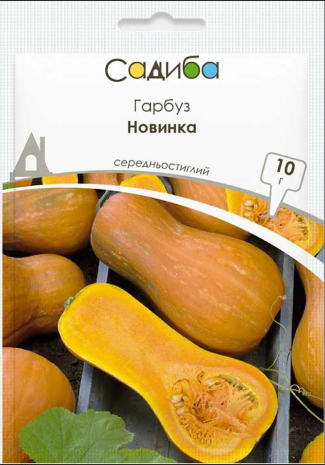 Насіння Гарбуз Новинка 10г Садиба