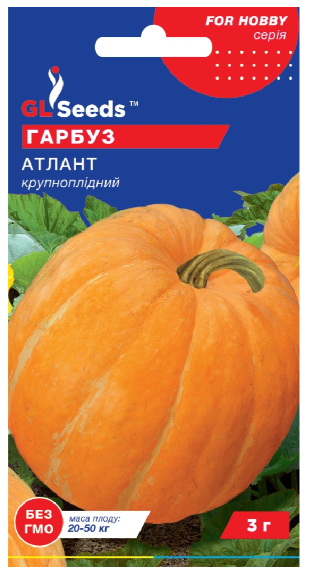 Насіння Гарбуз Атлант 3 GLSEEDS
