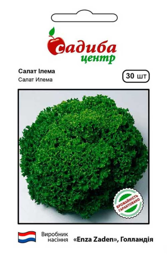 Насіння Салат Ілема 30шт СЦ
