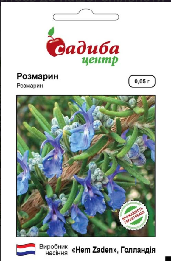 Насіння Розмарин 0