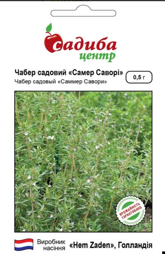 Насіння Чабер Самер Саворі 0