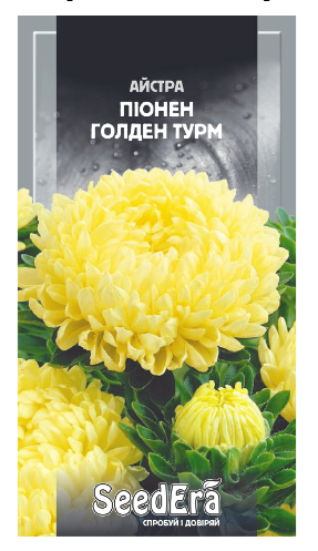 Насіння Квітів Айстра високоросла Піонен Голден Турм